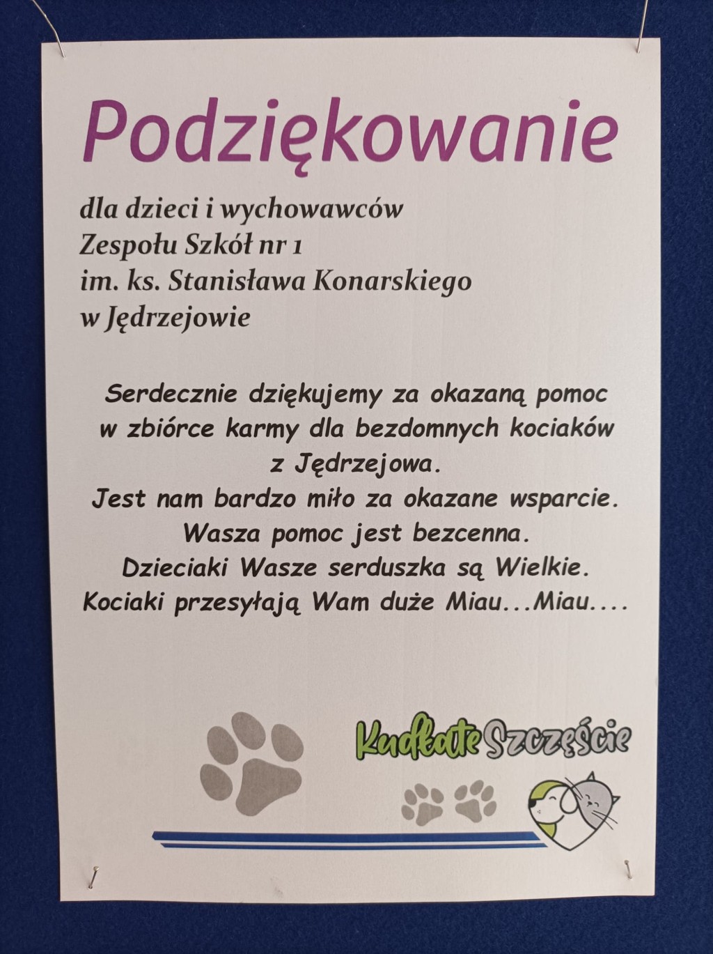 Podziekowanie za udział w akcji zbierania żywności dla bezdomnych kotów